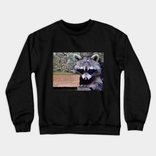 My Raccoon Crewneck Sweatshirt